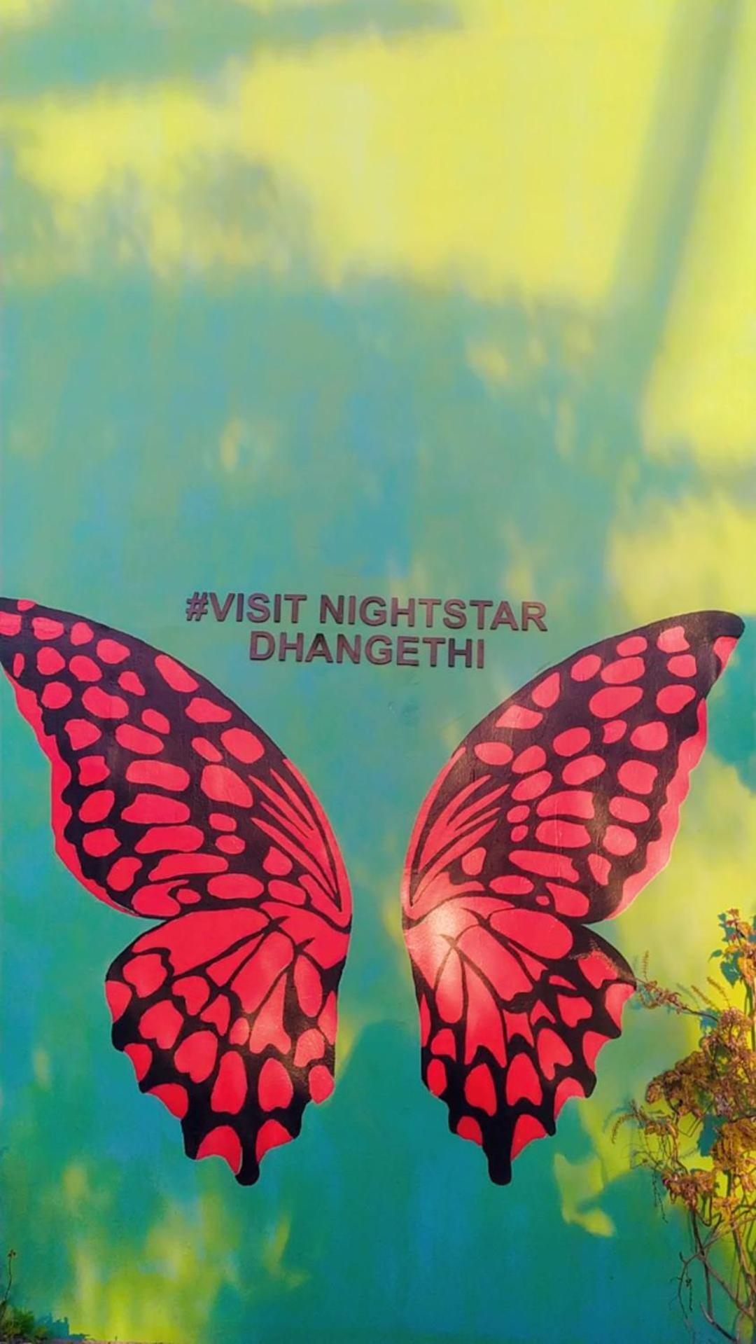 Night Star Dhangethi Bed & Breakfast Екстериор снимка