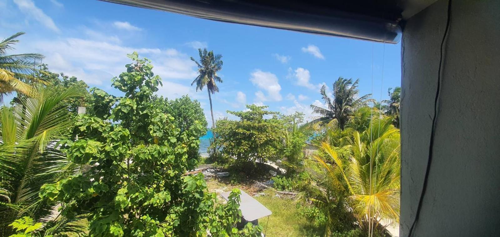 Night Star Dhangethi Bed & Breakfast Екстериор снимка
