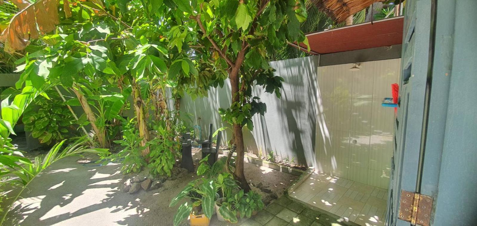 Night Star Dhangethi Bed & Breakfast Екстериор снимка