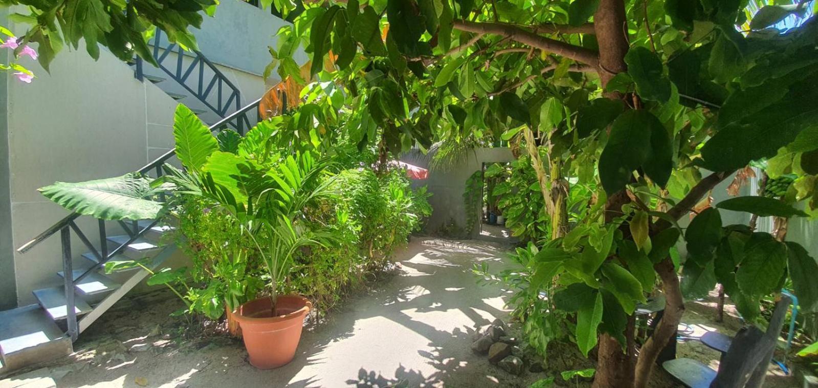 Night Star Dhangethi Bed & Breakfast Екстериор снимка